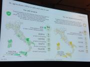 Rinnovabili e Altre Fonti di Energia - Efficienza